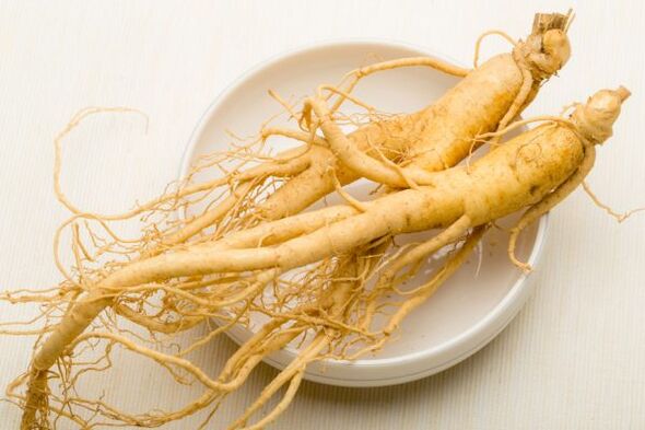 ginseng erro potentziarako